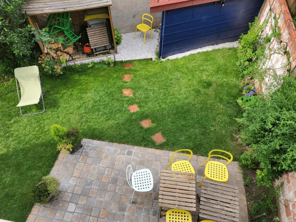 Ποια φυτά ταιριάζουν καλύτερα γύρω από τις πέτρες διαδρομής;